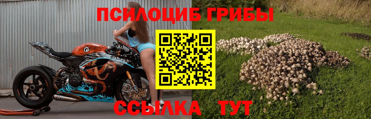Арзамас  Галлюциногенные грибы прущие грибы  цена   Вход с VPN 