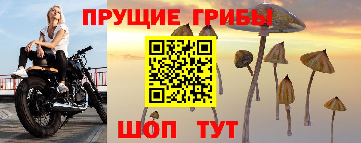 Псилоцибиновые грибы ЛСД Арзамас